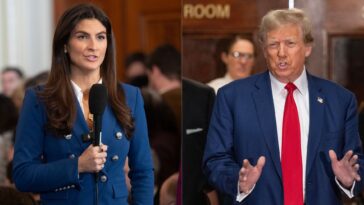 Kaitlan Collins Responds After Donald Trump Calls Her Stupid and Nasty