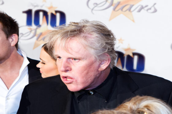 Gary Busey Goes Viral After Strange Goose-Honking Holiday Moment