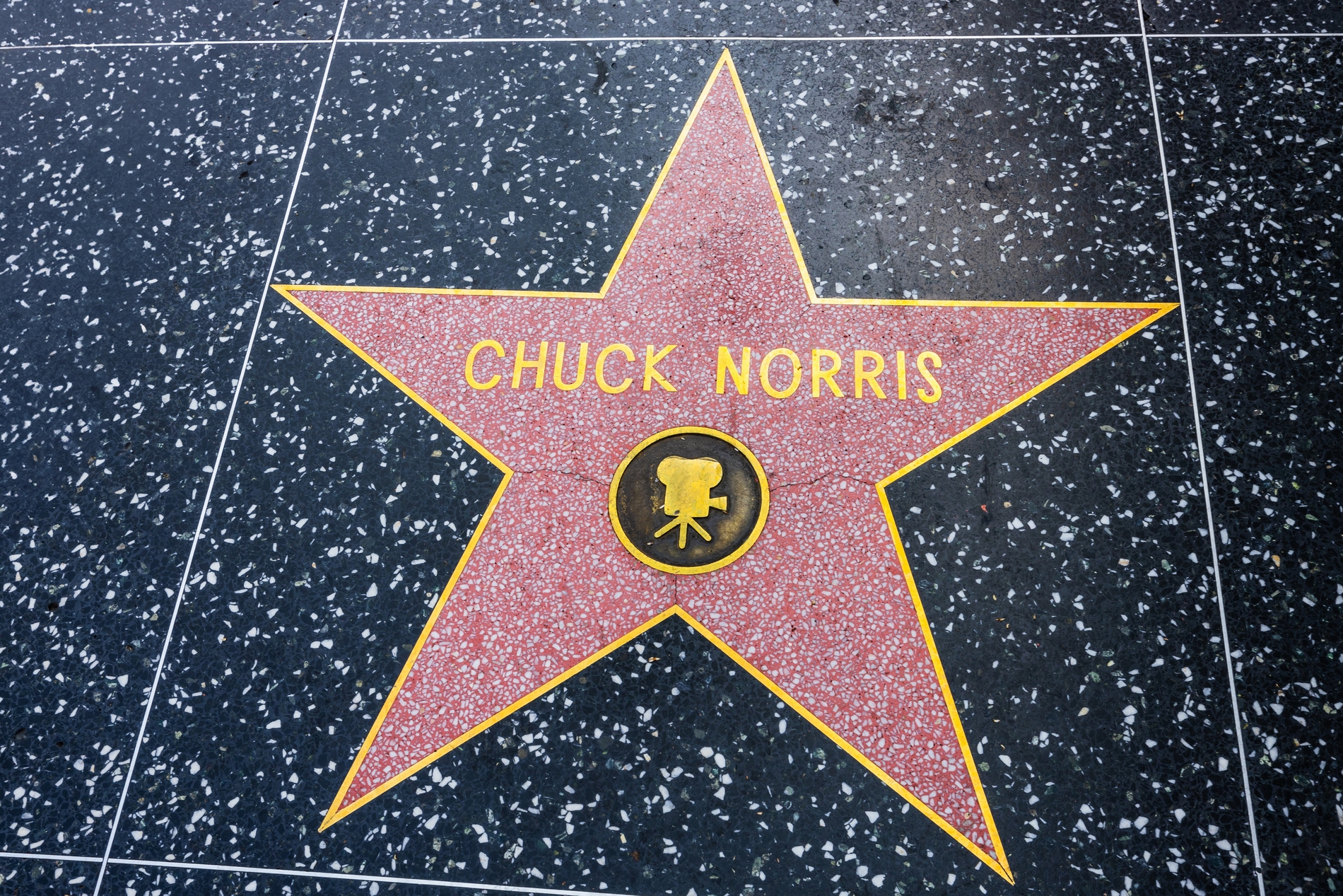 Chuck Norris Hollywood Star
